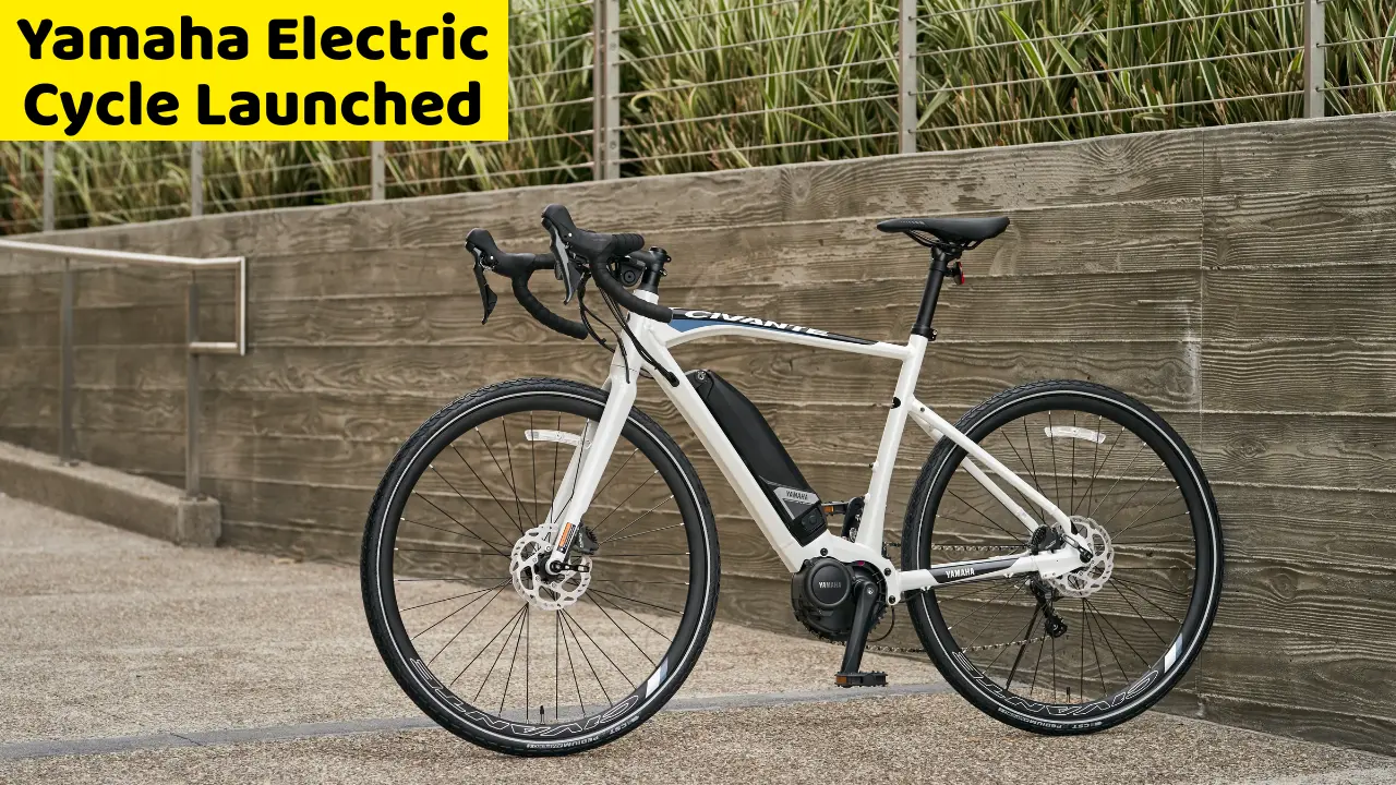 Yamaha Electric Cycle